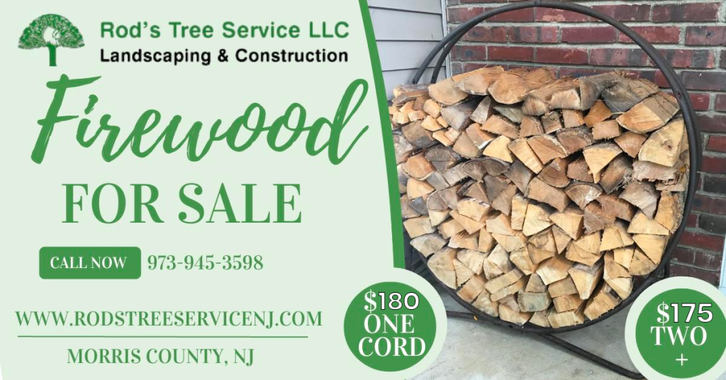 Rod's Tree Service | Tree Service | Tree Trimming | Tree Pruning